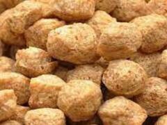 Bone Recovery: ફ્રેક્ચર પછી જો ખાશો ખોરાક તો જલ્દી થશે રિકવરી