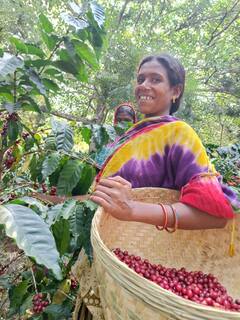 In Photos: देश के बड़े शहरों में खोले जाएंगे बस्तर कैफे के नाम से आउटलेट्स, CCD और स्टारबक्स की तर्ज पर होगी ब्रांडिंग
