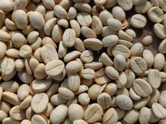 In Photos: देश के बड़े शहरों में खोले जाएंगे बस्तर कैफे के नाम से आउटलेट्स, CCD और स्टारबक्स की तर्ज पर होगी ब्रांडिंग