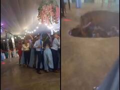 Shocking Video: ਕਾਲਜ 'ਚ ਚੱਲ ਰਹੀ ਸੀ ਡਾਂਸ ਪਾਰਟੀ, ਉਦੋਂ ਹੀ ਧਰਤੀ ਫਟ ਗਈ ਤੇ ਉਸ 'ਚ ਧਸ ਗਏ 25 ਵਿਦਿਆਰਥੀ! ਵੀਡੀਓ ਦੇਖ ਕੇ ਕੰਬ ਜਾਵੇਗਾ ਦਿਲ