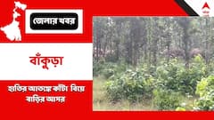 রাত পেরোলেই বাড়িতে জোড়া বিয়ে, হাতির আতঙ্কে ঘুম উড়ল পরিবারের