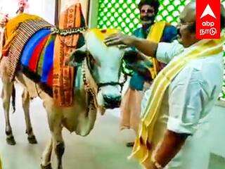 Jayakumar Pongal Celebration :  பூம்பூம் மாட்டுடன் ஜெயக்குமார்.. பொங்கல் கொண்டாட்டம்!
