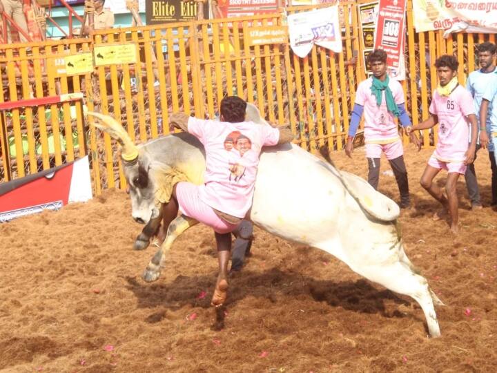 madurai palamedu jallikattu 2023 Impersonation 11 players disqualified know full details Jallikattu: இதுலயுமா...? பாலமேடு ஜல்லிக்கட்டில் ஆள்மாறாட்டம்...! 11 பேர் தகுதிநீக்கம்...!