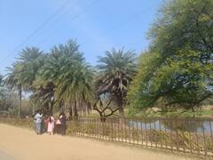 भोपाल के वन विहार में होगी पेड़ों की गिनती, 13 टीमों को दी गई ट्रेनिंग, जानिए-वजह