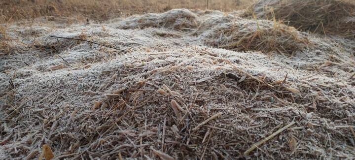 परिणामी या भागातील शेतात आणि रस्त्याच्या बाजूला असलेल्या गवत तसेच वाहने घराच्या बाहेर ठेवल्या वस्तूवर असलेलं दव बिंदू गोठल्याचं चित्र पाहायला मिळतं.