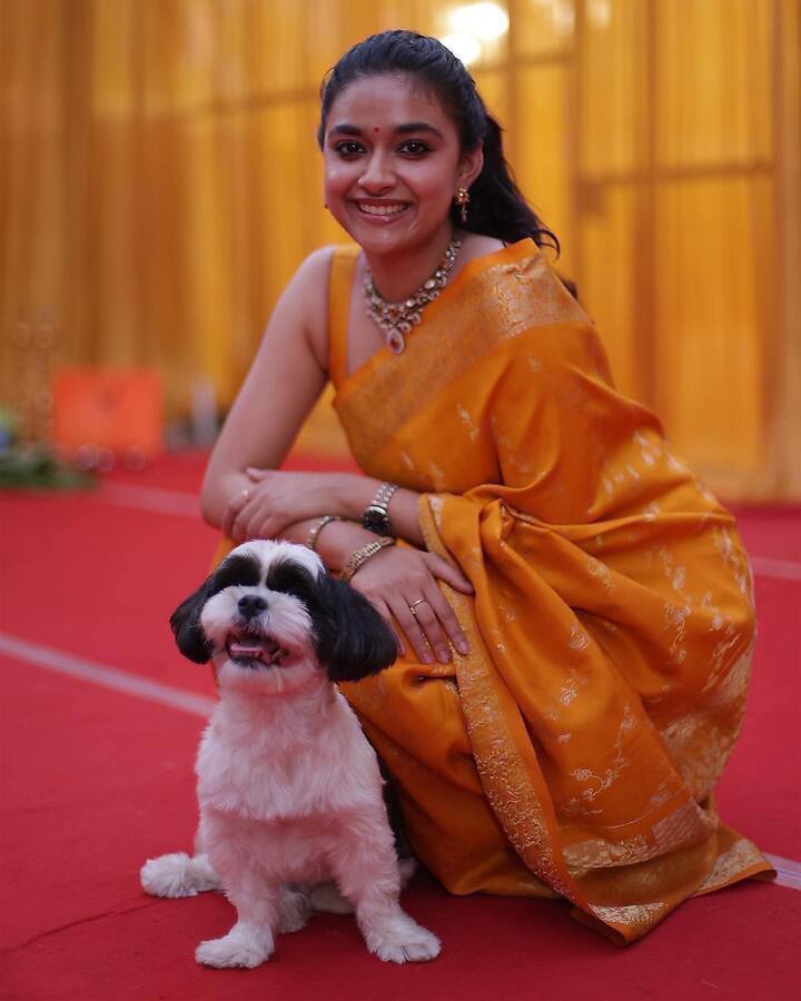 కీర్తి సురేష్ అందమైన ఫోటోలు  -Image Credit: Keerthy Suresh/Instagram