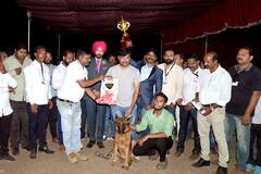 Dog Show in Kolhapur : कोल्हापुरात आयोजित 'डॉग शो'ला अभूतपूर्व प्रतिसाद