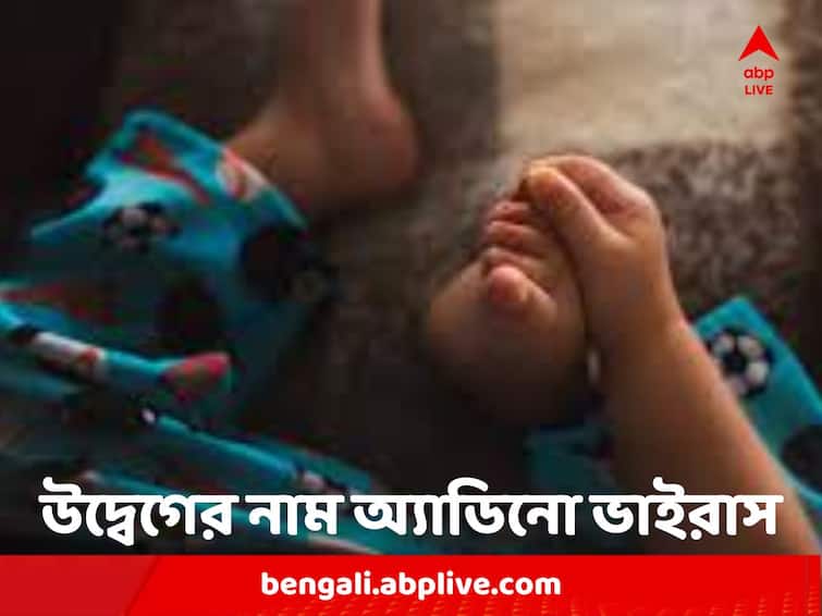 West Bengal Several Children Attacked By Adino Virus Creates Concern Know Symptoms