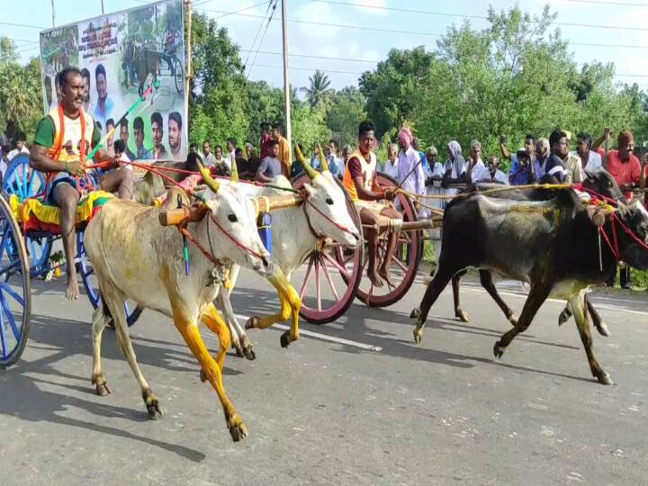 மூன்றாண்டுகளுக்கு பிறகு மீண்டும் திருக்கடையூரில் கோலாகலமாக தொடங்கிய ரேக்ளா ரேஸ்!