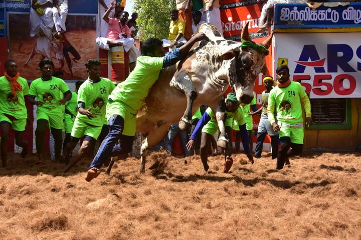 இதில், சூரியின் சார்பாக விடப்பட்ட புரூஸ்லி என்ற காளை வெற்றி பெற்றது