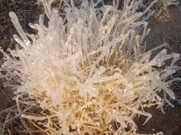 ભારતીય હવામાન વિભાગના જયપુર કેન્દ્રે આગાહી કરી છે કે બુધવાર સુધી સીકરમાં ઠંડીનું મોજુ પ્રવર્તશે. આજે હિમ પડવાની પણ સંભાવના છે.સોમવારે સીકરમાં તાપમાન માઈનસ 3.4 ડિગ્રી સેલ્સિયસ નોંધાયું હતું.