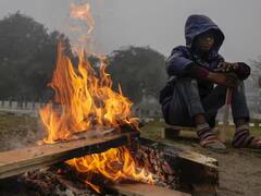 राज्यात थंडीचा जोर कायम, वाचा कोणत्या जिल्ह्यात किती तापमान? 