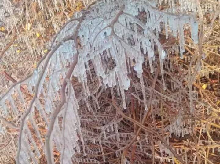 . મેદાનો અને ખેતરોમાં પાક પર બરફ જામી ગયો હતો. જાન્યુઆરીનો અડધો મહિનો વીતી ગયો હોવા છતાં સતત ચાર દિવસ સુધી તાપમાન સ્થિરતાથી નીચે રહેવાનો રેકોર્ડ બની રહ્યો છે.