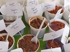 WATCH: Andhra Pradesh Family Treats Son-In-Law With 379 Types Of Food Items