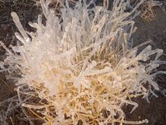 In Pics: सीकर में पारा जमाव बिन्दु के नीचे ठिठका, बर्फ बनीं ओस की बूंदें, देखें तस्वीरें