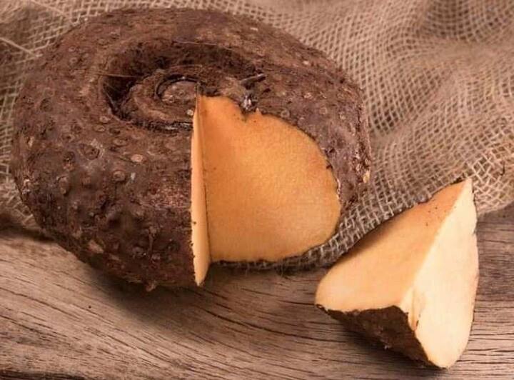 ઘણા લોકોને આ મૂંઝવણ હોય છે કે પ્રેગ્નન્સી દરમિયાન સૂરણ  ખાવું જોઈએ કે નહીં. તો આપને  જણાવી દઈએ કે આ ખાવાથી માતા અને બાળક બંનેને ઘણા ફાયદા થાય છે. તેમાં ઘણા પ્રકારના વિટામિન હોય છે અને આ સિવાય ફોલિક એસિડ અને પોટેશિયમ પણ તેમાં જોવા મળે છે. જેના કારણે ગર્ભાવસ્થા દરમિયાન ઘણી સમસ્યાઓથી બચી શકાય છે અને તે તંદુરસ્ત બાળકના વિકાસમાં પણ મદદ કરે છે. તેમાં હેલ્ધી સ્ટાર્ચ જોવા મળે છે, જે ખોરાકના પાચનમાં મદદ કરે છે. ડાયેટરી ફાઈબરને કારણે કબજિયાતની સમસ્યામાં પણ રાહત મળે છે.