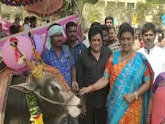 నగరిలో ఘనంగా సంక్రాంతి సంబురాలు - ముగ్గుల పోటీకీ అపూర్వ స్పందన