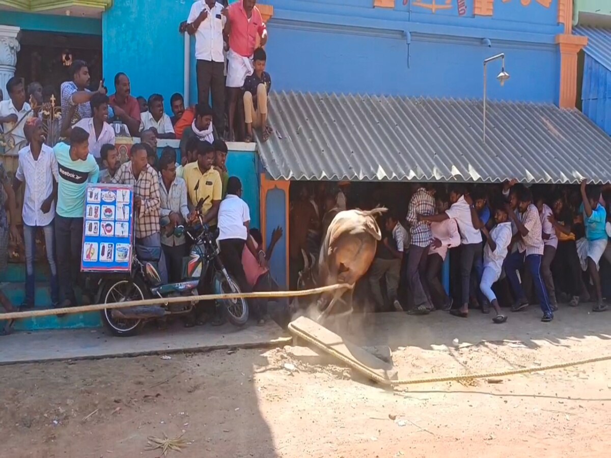 தடையை மீறி  காளைவிடும் திருவிழாவில்  20-க்கும் மேற்பட்ட  வீரர்கள் படுகாயம்