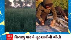ABP News