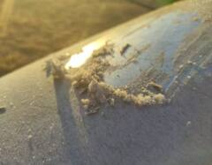 In Photos:  સીકરમાં માઇનસ તાપમાનથી  ઝાકળના ટીપાં બરફ બન્યા, જુઓ તસવીરો