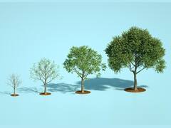 World Economic Forum 2023: Adani Group Pledges To Grow 100 Million Trees By 2030