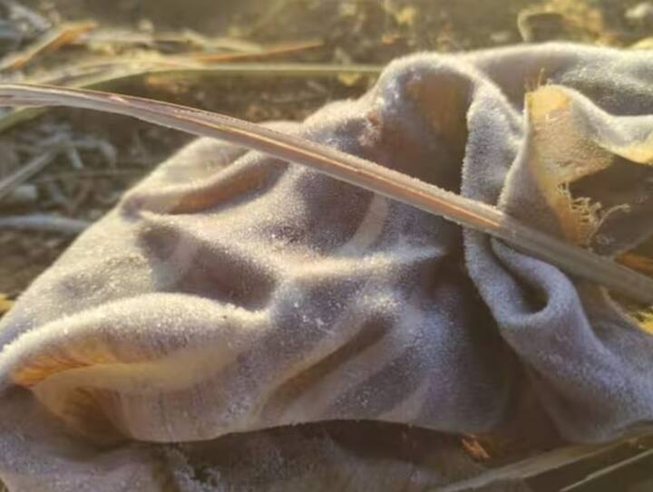 તાપમાનમાં ઘટાડાને જોતા ભારતીય હવામાન વિભાગના જયપુર કેન્દ્રે સીકર માટે 17 જાન્યુઆરી સુધી ઓરેન્જ એલર્ટ જાહેર કર્યું છે.