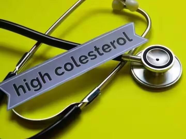 Cholesterol problem increases in winter. Save youself by this tips High Cholesterol In Winter: શિયાળામાં ડબલ રફતારથી વધે છે બેડ કોલેસ્ટ્રોલ, આ રીતે કરો બચાવ