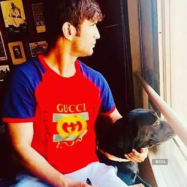 Sushant Singh Rajput’s dog Fudge passes away, actor’s sister Priyanka says she’s heartbroken Sushant Singh Rajputના ડોગ Fudgeનું મૃત્યુ, ચાહકો થયા ભાવુક, જુઓ વીડિયો