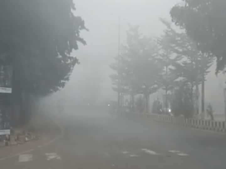 Bihar Weather News: Yellow alert regarding fog and cold wave in Bihar, minimum temperature was four degrees in last 24 hours Bihar Weather: बिहार में कोहरे और शीतलहर को लेकर येलो अलर्ट, बीते 24 घंटे में इस जिले में चार डिग्री गया न्यूनतम तापमान