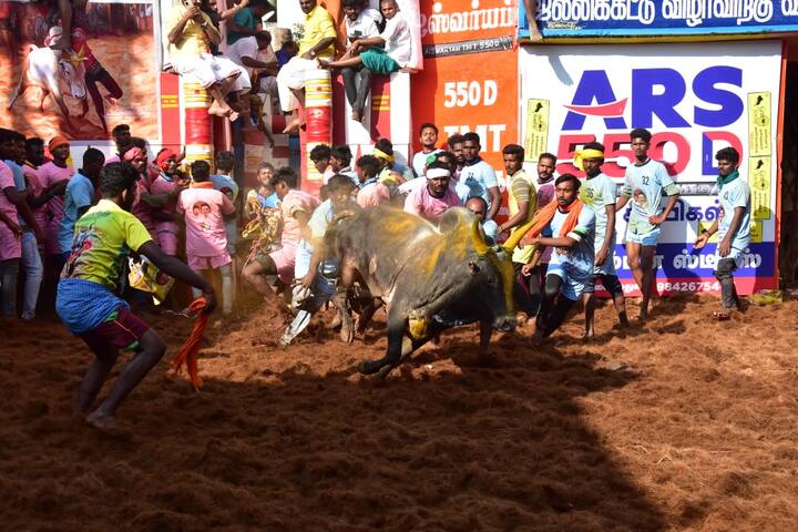 அலங்காநல்லூர் போட்டியை அமைச்சர்கள் உதயநிதி ஸ்டாலின், அன்பில் மகேஷ் பொய்யாமொழி மற்றும் நடிகர் சூரி ஆகியோர் நேரில் கண்டு களித்தனர்