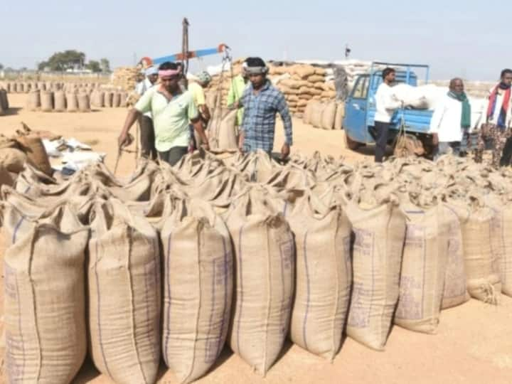 Chhattisgarh Record purchase of paddy from farmers on MSP CM Bhupesh Baghel congratulated Ann Chhattisgarh News: छत्तीसगढ़ में टूटे धान खरीदी के अबतक के सभी रिकॉर्ड, CM भूपेश बघेल ने दी बधाई