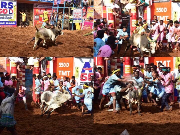 Alanganallur Jallikattu: பொங்கல் பண்டிகையை முன்னிட்டு இன்று அலங்காநல்லூரில் ஜல்லிக்கட்டு போட்டி நடைப்பெற்றது. இந்நிகழ்வின் போது எடுக்கப்பட்ட போட்டோக்கள் வைரலாகி வருகின்றன.