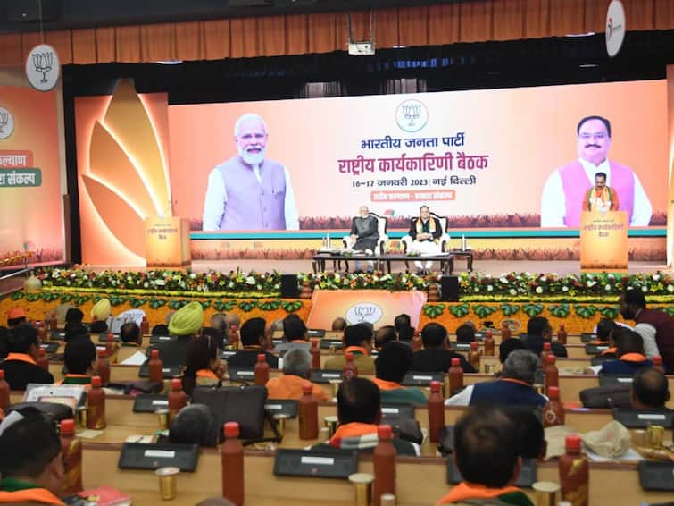 'Connect With Every Section Of Society': PM Modi Tells BJP Leaders At National Executive Meeting 'Connect With Every Section Of Society': PM Modi To BJP Leaders At National Executive Meeting