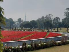 In Pics: मध्य प्रदेश वासियों को अभी नहीं मिलेगी ठंड से निजात, जानें आज कैसा है मौसम