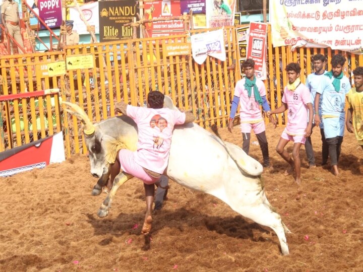 Alanganallur Jallikattu: இன்று நடக்கிறது புகழ்பெற்ற அலங்காநல்லூர் ஜல்லிக்கட்டு.. தொடங்கி வைக்கிறார் அமைச்சர் உதயநிதி...!