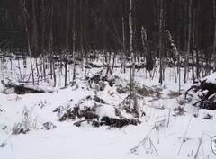 Russia Ukraine War: ਯੂਕਰੇਨ ਦੇ ਸਨਾਈਪਰ ਇਸ ਤਰ੍ਹਾਂ ਮਾਰ ਰਹੇ ਨੇ ਰੂਸੀ ਸੈਨਿਕ