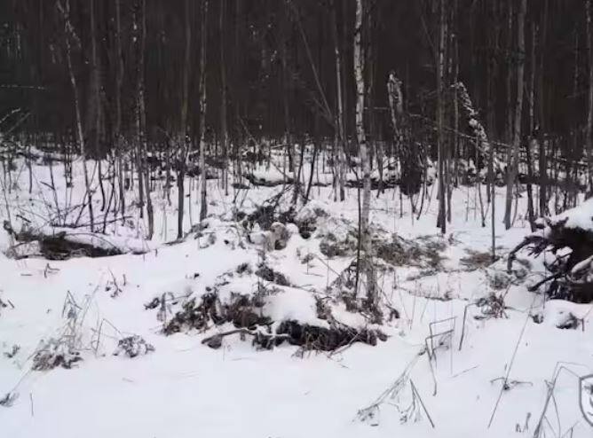 ਉਨ੍ਹਾਂ ਨੇ ਆਪਣੇ ਦੂਜੇ ਟਵੀਟ 'ਚ ਕਿਹਾ ਕਿ ਯੂਕਰੇਨ ਦੀ ਫੌਜ ਦੁਸ਼ਮਣ ਦੇ ਡਰੋਨ ਅਤੇ ਯੂਏਵੀ ਤੋਂ ਕੀਵ ਦੇ ਉੱਪਰਲੇ ਅਸਮਾਨ ਨੂੰ ਪੂਰੀ ਤਰ੍ਹਾਂ ਤਬਾਹ ਕਰ ਦੇਵੇਗੀ।