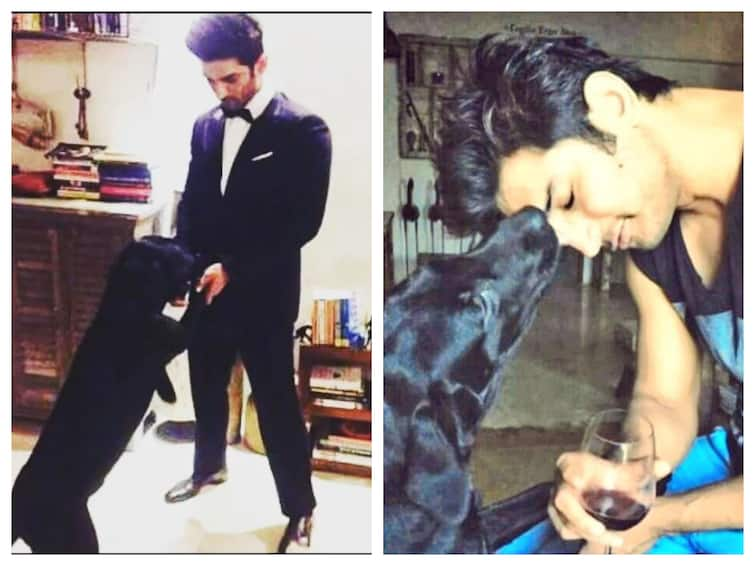 Sushant Singh Rajput's Dog Fudge Dies Three Years After Actor's Death Sushant Singh Rajput's Dog Fudge Dies Three Years After Actor's Death