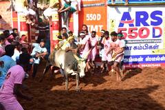 Alanganallur Jallikattu : ஆட்டம் காட்டிய அலங்காநல்லூர் காளைகள்..இழுத்துப்பிடித்து போட்டியிட்ட இளைஞர்கள்!