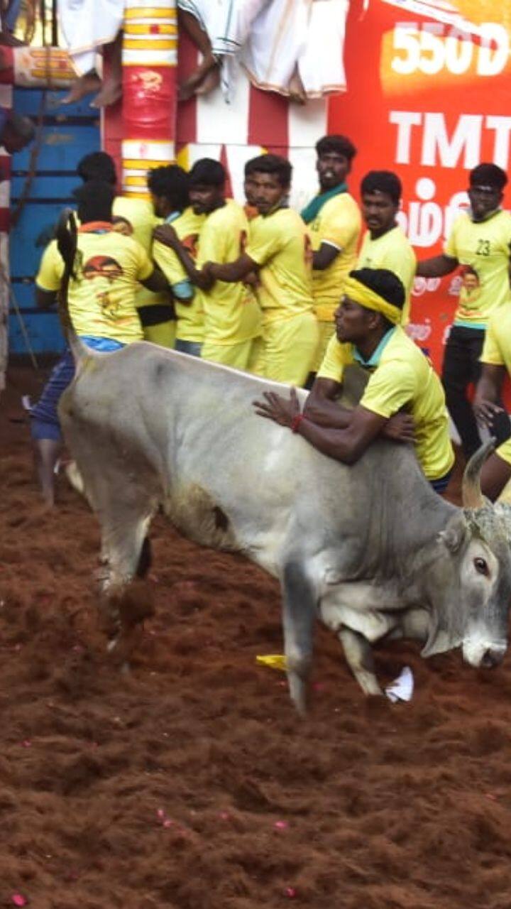 ஆயிரக்கணக்கான பார்வையாளர்கள் இப்போட்டியை நேரில் கண்டுகளித்தனர்