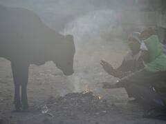 जनवरी की इस तारीख से ठंड हो जाएगी कम, नए अपडेट में पढ़ें पूरे हफ्ते कैसा रहेगा मौसम