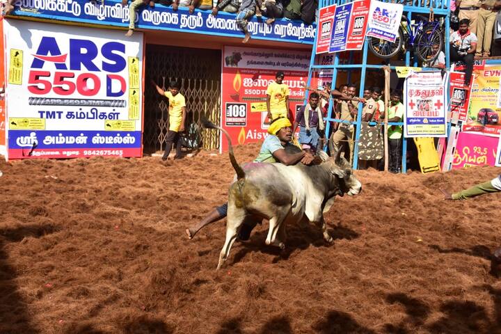 அலங்காநல்லூரில் நடைப்பெற்ற ஜல்லிக்கட்டு போட்டியில் பல காளைகளும் பல மாடுபிடி வீரர்களும் பங்கேற்றனர்
