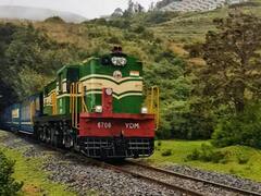 பழனி கோயில் கும்பாபிஷேகம், தைப்பூசம் விழா - மதுரை, பழனி, கோவை, திண்டுக்கல் இடையே சிறப்பு ரயில்கள் இயக்கம்