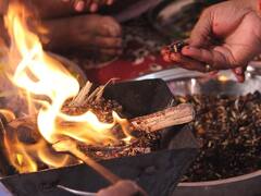 Shattila Ekadashi 2023: षटतिला एकादशी पर आज इन 4 चीजों से करें हवन, जल्द खत्म हो जाएंगे बुरे दिन, होगा धन लाभ