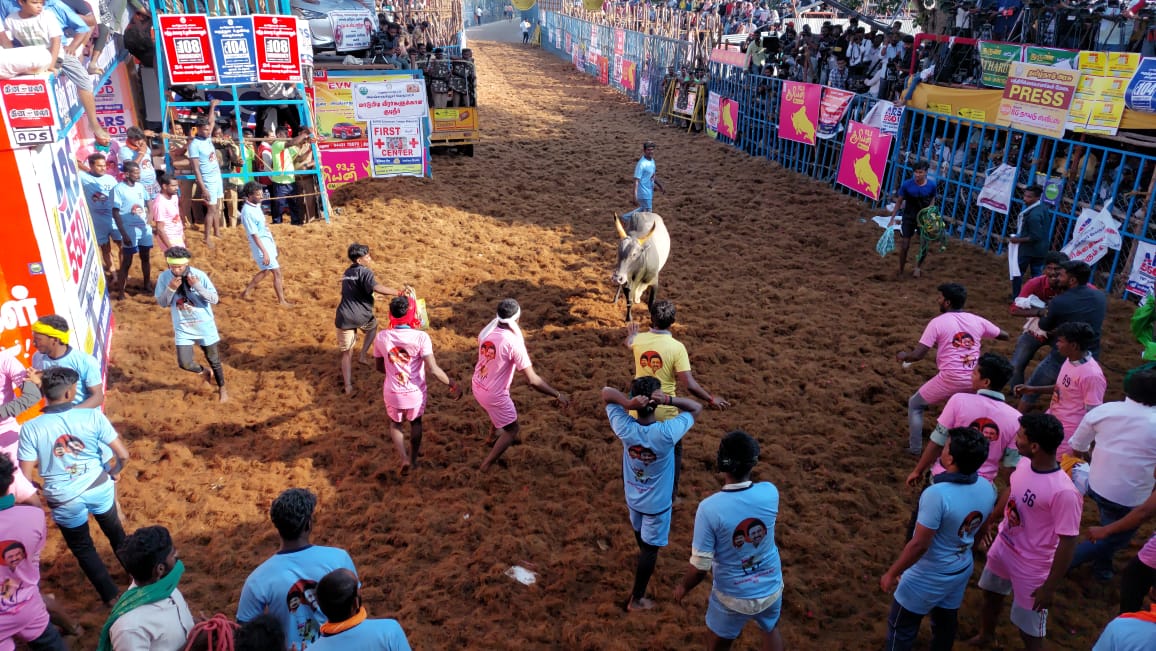 Alanganallur Jallikattu: களைகட்டும் ஜல்லிக்கட்டு... மு.க.ஸ்டாலின், உதயநிதி ஸ்டாலின் உருவம் பொறித்த மோதிரங்கள் பரிசளிப்பு..!