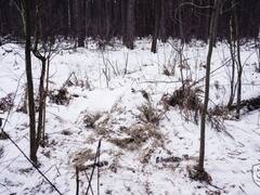 Russia Ukraine War: कुछ इस तरह से रूसी सैनिकों को शूट कर रहे हैं यूक्रेनी स्नाइपर, देखें तस्वीरें