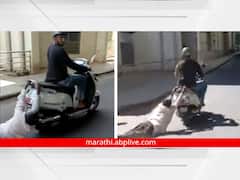 बंगळुरूमध्ये तरुणाने वृद्धाला स्कूटीने 1 किलोमीटरपर्यंत फरफटत नेले, लोकांनी पकडलं आणि...,पाहा व्हिडीओ