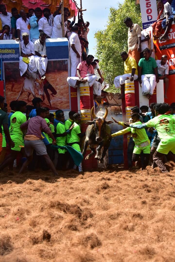 அலங்காநல்லூர் போட்டியை கண்டு கொண்டிருந்த பார்வையாளர்கள் 3 பேருக்கு இன்று அடிப்பட்டது. அவர்கள் மேல் சிகிச்சைக்காக மருத்துவமனைக்கு அழைத்து செல்லப்பட்டனர்