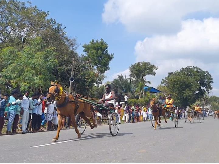 In Thoothukudi's Sekarakudi, 59 bulls took part in the race.