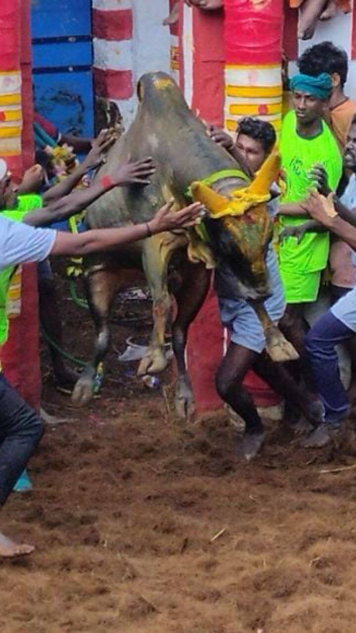 வெற்றிபெறும் வீரர்களுக்கு பரிசுகள் வழங்கப்படும் என்று அறிவிக்கப்பட்டுள்ளது